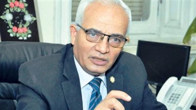 نائب وزير التعليم يشد بسيدة القطار: معلمو مصر بخير (فيديو)