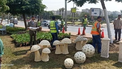  تنفيذًا لتعليمات المحافظ.. حي النزهة يبدأ تطوير الجزيرة الوسطى (صور)