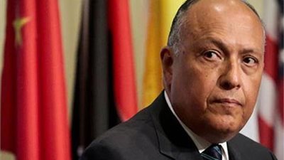 وزير الخارجية يكشف تفاصيل المباحثات مع نظيره الأرميني