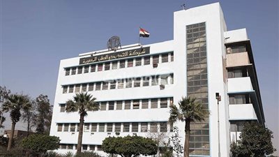 تراجع خسائر الحديد والصلب بنسبة 48.8% خلال 2019-2020