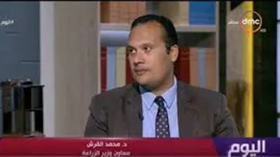 محمد القرش: قيمة إيجارية موحدة لأراضي الأوقاف والري والزراعة (فيديو)