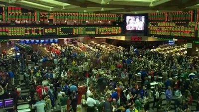 التموين تكشف أهمية ومردود البورصة السلعية على الأسعار (فيديو)