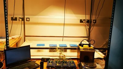 تعاون بحثي بين جامعتي بنها وبريستول الإنجليزية في مجال تطوير الخلايا الشمسية