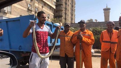 طوله متران.. العثور على ثعبان داخل مقلب قمامة بمدينة نصر