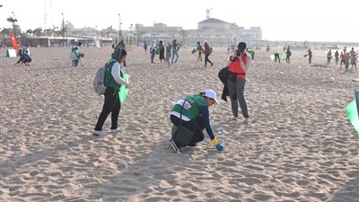 لحماية الكائنات البحرية.. 100 شاب وفتاة يتطوعون لتنظيف شاطئ الأنفوشي بالإسكندرية (صور)