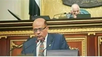 برلماني: هناك مكاسب مستمرة يحصدها ذوو الاحتياجات الخاصة في عهد السيسي