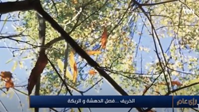 أحمد عبدالعال: فصل الخريف أجمل فصول العام وليس 