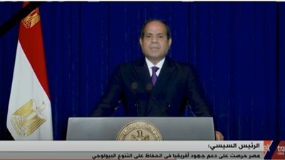 السيسي: أطلقنا مبادرة شاملة لدمج التنوع البيولوجي في القطاعات النوعية المختلفة (فيديو)