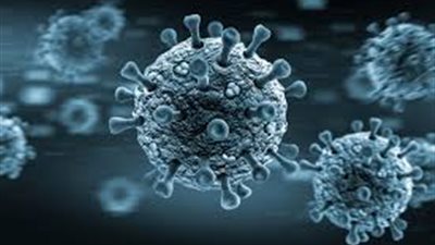 شاهد.. أستاذ صحة عامة: مصر اقتربت من الانتصار على الموجة الأولى لـ