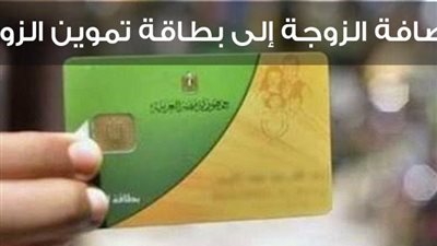 خطوات اضافة المواليد على بطاقة التموين علي موقع دعم مصر 2020 tamwin.com.eg