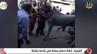 لحظة إنسانية بين شاب وحصانه عقب إنقاذه من السقوط في 
