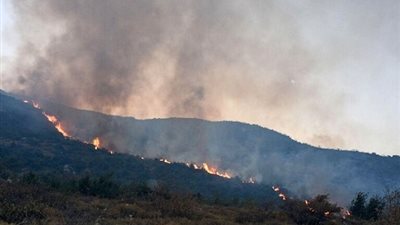 تضرر مستودعات مؤسسة التبغ جراء حرائق القرداحة في سوريا