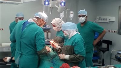 الصحة: القضاء على قوائم الانتظار تكلف 5 مليار جنيه (فيديو)