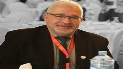 الدكتور خالد مصيلحي إبراهيم يكتب: شرح مبسط لمصطلحات التعليم المتداولة