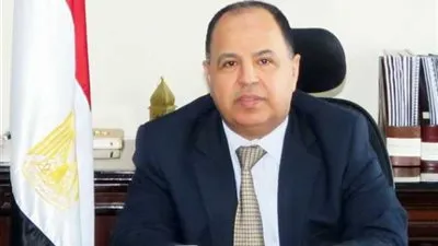 وزير المالية: المشاركة القطاع الخاص يمكن أن تمتد لبناء محطات الكهرباء (فيديو)