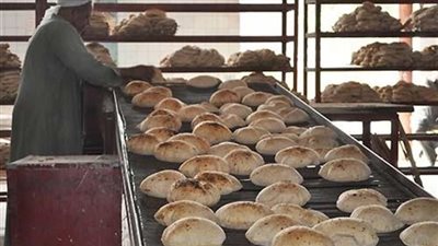 حقيقة استخدام شحنات دقيق فاسدة في إنتاج الخبز المدعم
