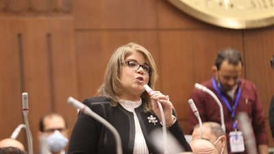 فيبي فوزي: انتخابي في وكالة مجلس الشيوخ انتصار للمرأة المصرية