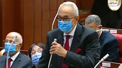 أبو شقة: مجلس الشيوخ سيكون علامة مضيئة على طريق الديمقراطية