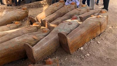 مصطفى وزيري: هناك عشرات التوابيت لم يتم الكشف عنها بعد (فيديو)