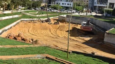  نائب رئيس هيئة 