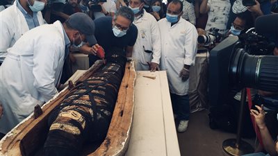 سقارة مهد الحضارة.. 7 سنوات من الاكتشافات أبرزها 12 مقبرة و59 تابوتًا 