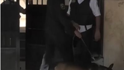 حملات مكثفة بمحيط المدارس لضبط مروجى ومتعاطى المخدرات على مستوى الجمهورية