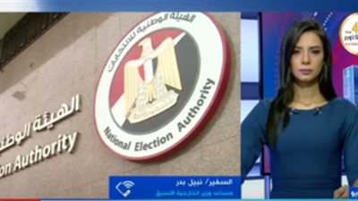 دبلوماسي: تصويت المصريين بالخارج عبر البريد 