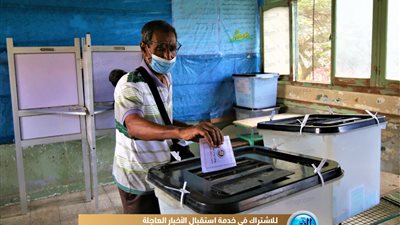 توافد الناخبين على لجان إمبابة للإدلاء بأصواتهم في الانتخابات (صور)
