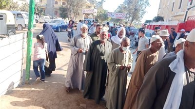 حضور مكثف لكبار السن وذوي الاحتياجات الخاصة.. أبرز مشاهد انتخابات مجلس النواب 2020