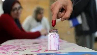 تعرف على سبب غياب الحبر الفسفوري من انتخابات مجلس الشعب (فيديو)