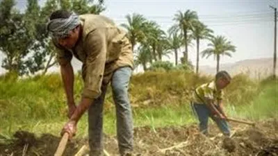 التحول الرقمي.. 