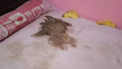 إيداع الشقيق الأكبر لطفل طوخ إلى حضانة جدته 