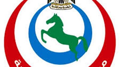 وكيل الصحة بالشرقية يكشف تفاصيل العثور على طفل حديث الولادة بالشارع 