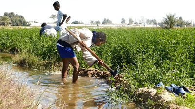 4 محافظات جاهزة لتطبيقها.. معلومات عن منظومة كارت الفلاح