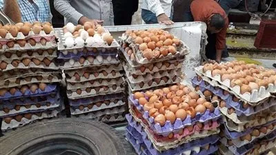 الوحدة المحلية لمركز أبو قرقاص بالمنيا تحرر 50 مخالفة تموينية