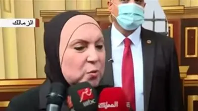 وزيرة الصناعة عن الانتخابات: 