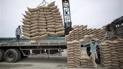 قطاع الأسمنت يواصل المعاناه و تراجع صادرته 8% خلال أول 9 شهور من 2020