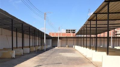 خط سرفيس وكاميرات مراقبة.. الانتهاء من تأهيل سوق ترعة البوصة (صور)