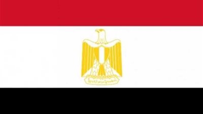 عاجل.. أول تعليق لمصر على سقوط مروحية تابعة للقوات متعددة الجنسيات