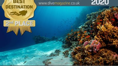 مصر تفوز بالمركز الثاني كأفضل وجهة للغوص في العالم لعام 2020 