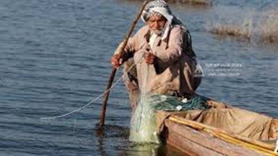  نشاط الزراعة وصيد الأسماك يسجل أكبر نسبة مشاركة للمشتغلين فى الأنشطة الاقتصادية