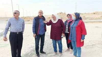 نائب رئيس هيئة 