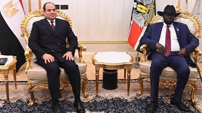 مباحثات مثمرة.. نص كلمة الرئيس السيسي في زيارته لجنوب السودان