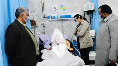 نائب محافظ البحيرة تكشف عن واقعة اعتداء مريض نفسي مصاب بـ