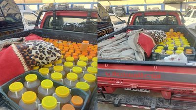 ضبط 241 كليو عسل 