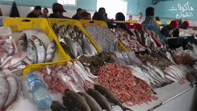 أسعار جميع أنواع الأسماك في الأسواق اليوم الخميس 3-12-2020