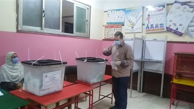 المصريون يسطرون الفصل الأخير في انتخابات مجلس النواب