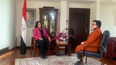 نائبة الوزير لوسائل الإعلام الألبانية: 