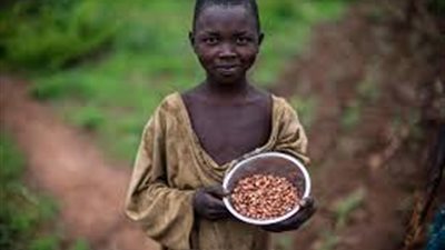 موديز تحذر من تضاعف حجم القروض الرديئة في  البنوك الأفريقية