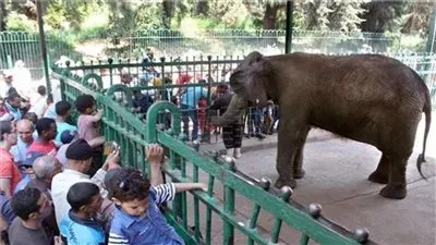 بعد تحور كورونا.. 